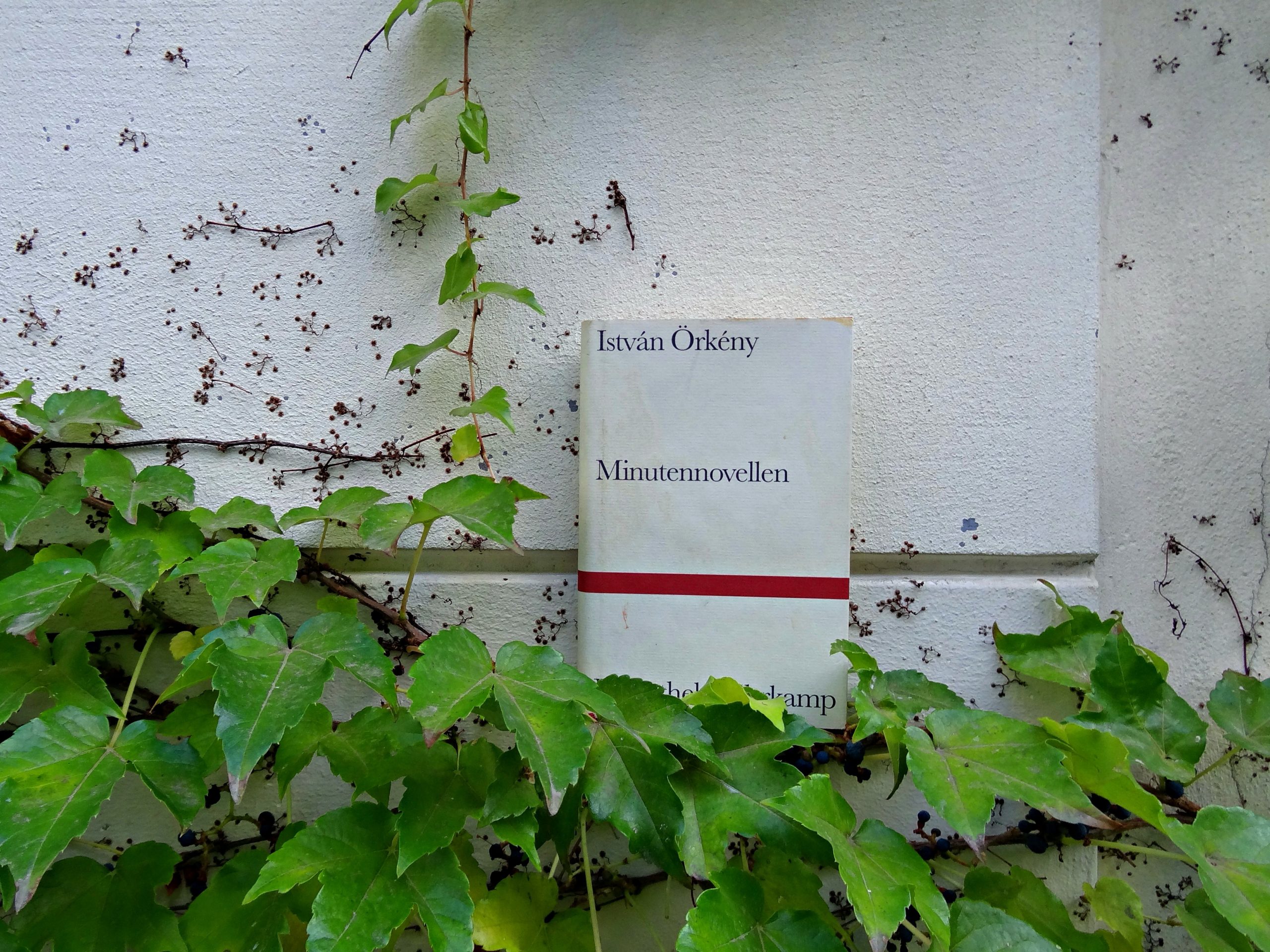 Tino Schlench - Literaturpalast - Istvan Örkeny - Minutennovellen 2