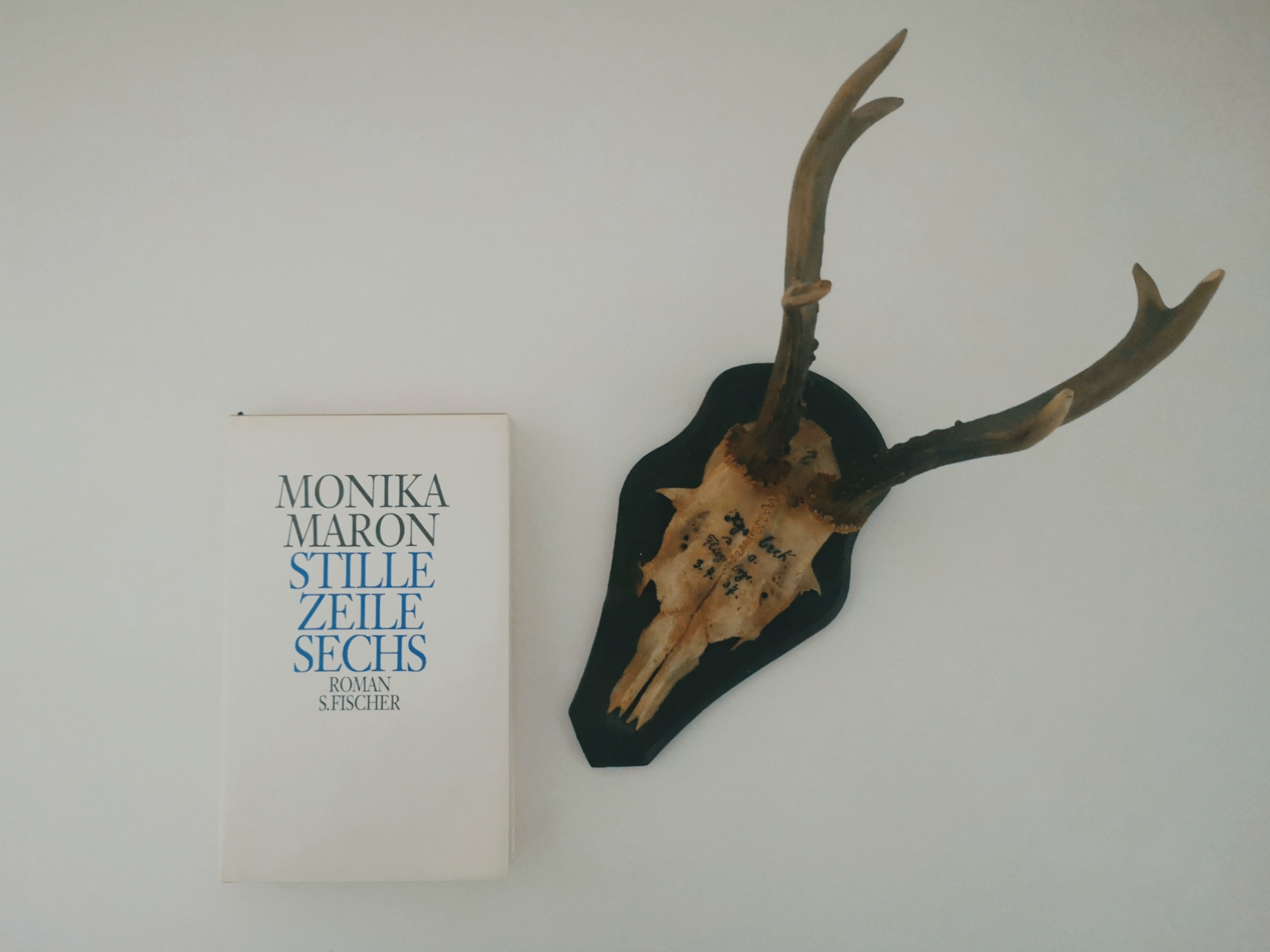 Tino Schlench - Literaturpalast - Monika Maron - Stille Zeile Sechs